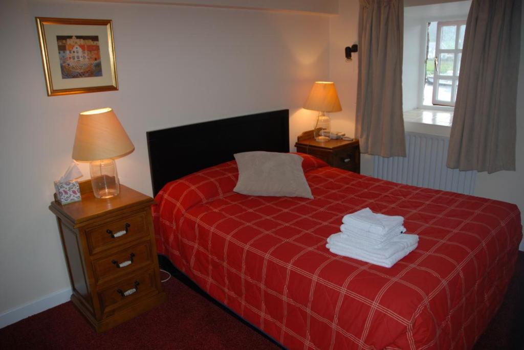 Waterside Guesthouse Graiguenamanagh Extérieur photo