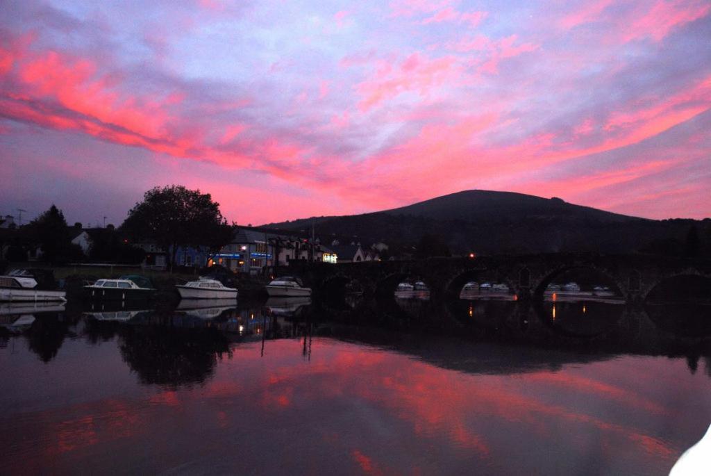Waterside Guesthouse Graiguenamanagh Extérieur photo